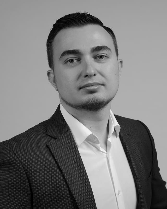 Aleksei Meziaev, Stellvertretender Vorsitzender